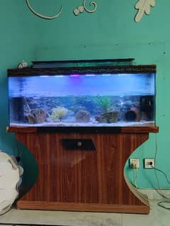 4 ft Large Aquarium