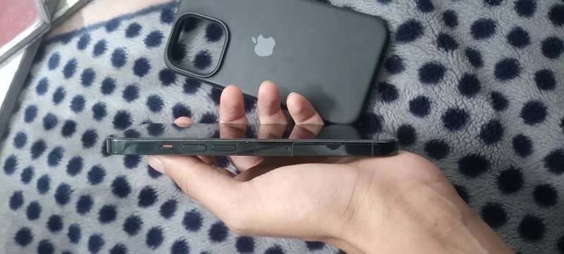 iphone 13 pro 6