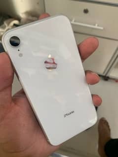 i phone xr 64 gb official pta approved 0