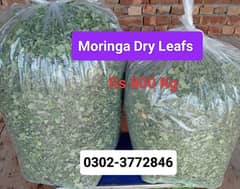 Dry Moringa Leafs