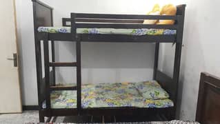 Bunk bed pure wooden