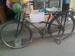 big shrab bicycle