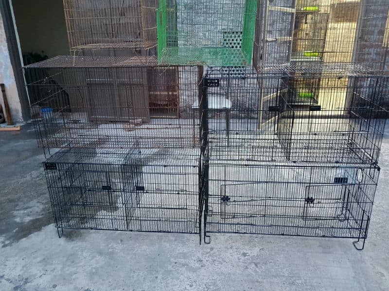 Parrots Cage 8 Portion 2