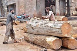 15 Marla commercial plot in timber market Multan