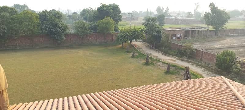 swimming pool and lawn for rent 7