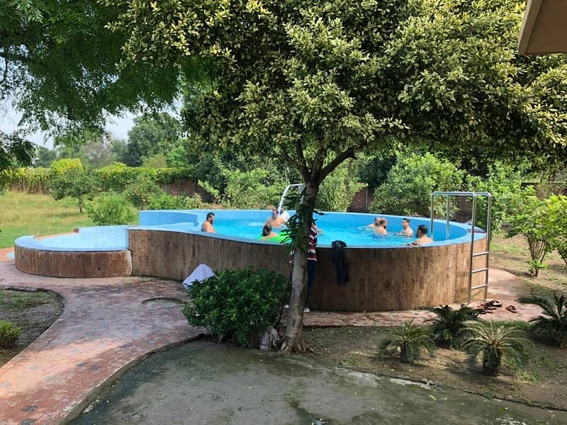 swimming pool and lawn for rent 13