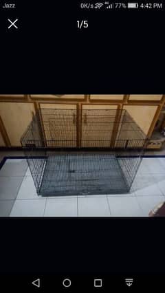ali bird cage