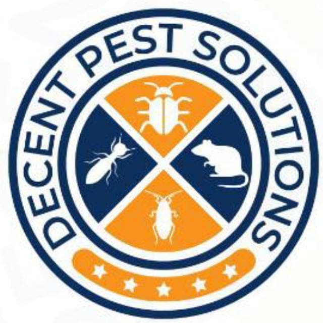 Termite Control, Fumigation Spray, Deemak Control, Pest Control 12