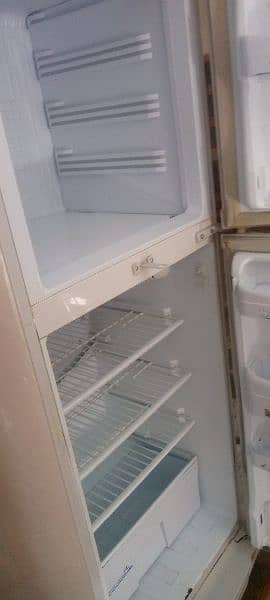 fridge 5