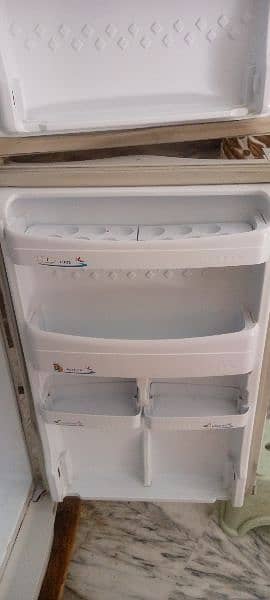 fridge 6