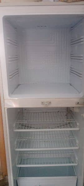 fridge 8
