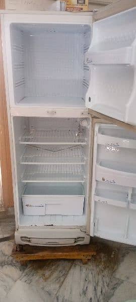 fridge 10