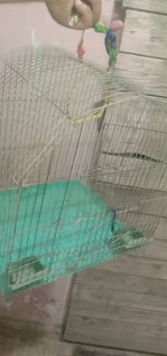 Cage only one month used ok condition