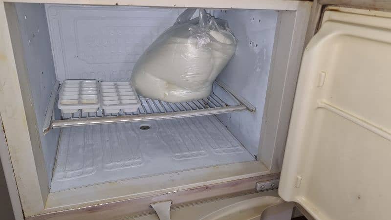 pel fridge for sale 0