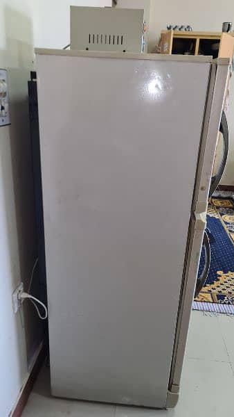 pel fridge for sale 10