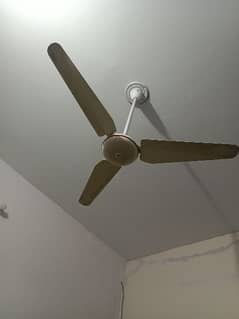 celling fan of Time star company