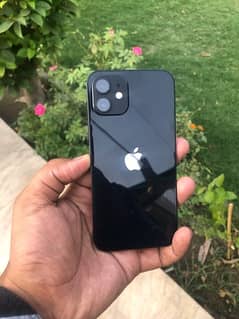 Iphone 12 apple warranty 11 month