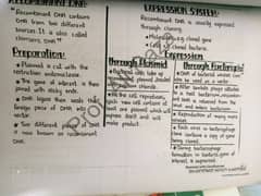 2nd year biology notes 0