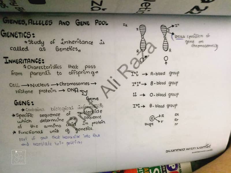 2nd year biology notes 1