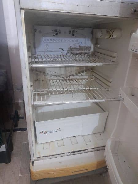 Pel Refrigerator 1