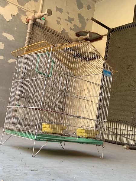 bird  Cage 2