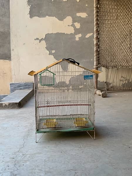 bird  Cage 3