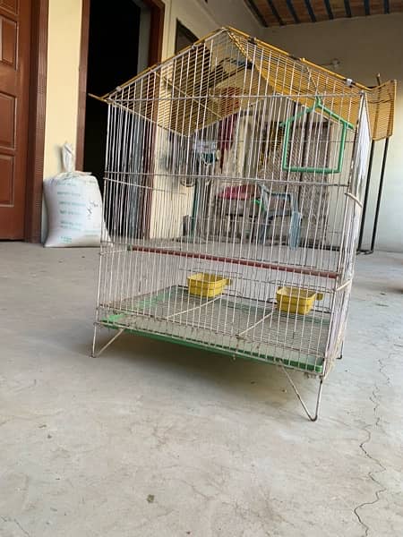 bird  Cage 4