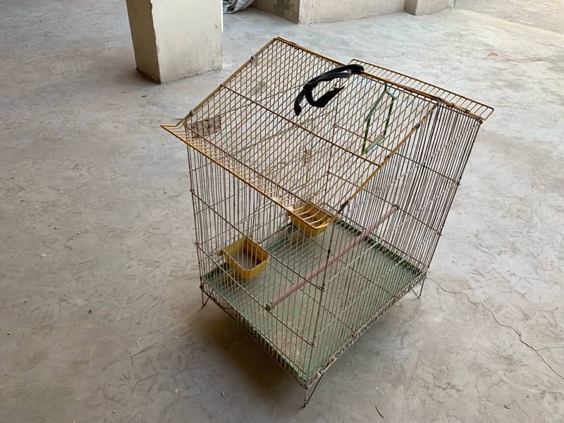 bird  Cage 5