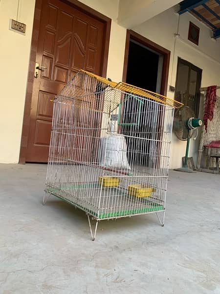 bird  Cage 6