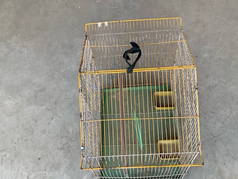 bird  Cage 7