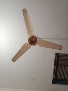 Ceiling fan in good condition
