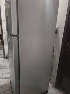 large size fridge