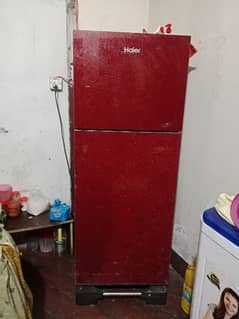 sale refrigerator