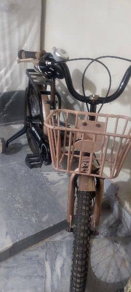 imported bicycle for sall 1