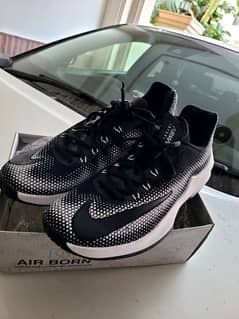 Air Born Nike shoes
