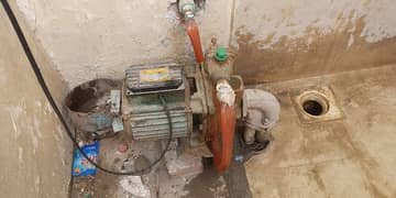 rooter pump for sale