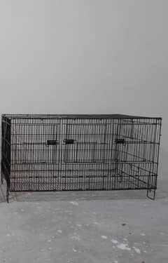 Bird's cage available