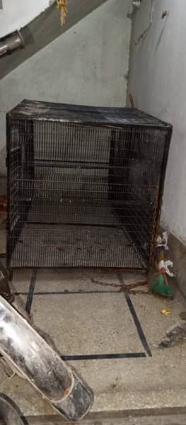 pinjra (cage) 5