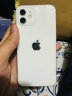 iphone 12 dual physical pta approved hk model 0