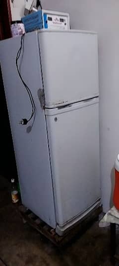 Dawlanc medium size Refrigerator