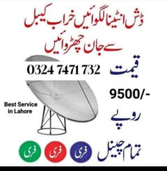 dish antenna 1network 03247471732