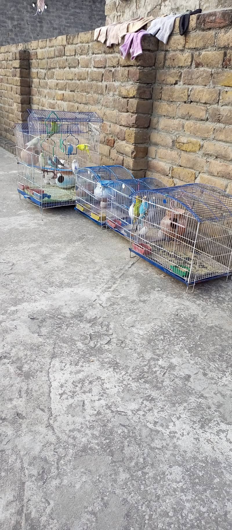 Birds Cages for sale 3