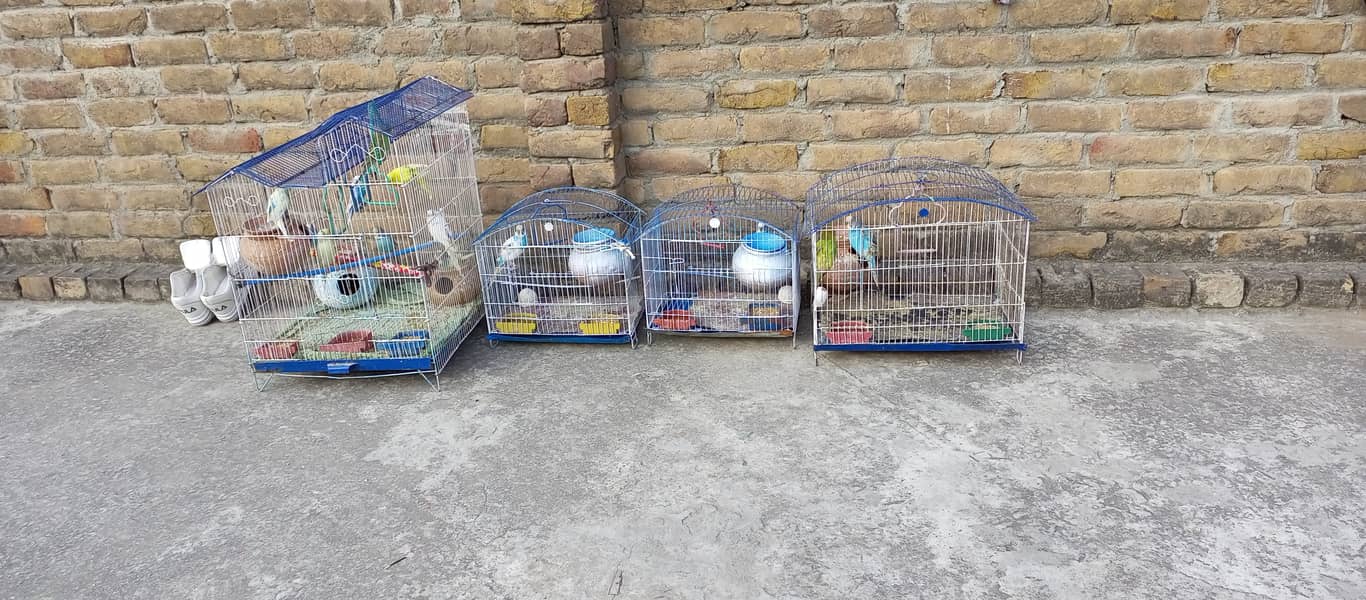 Birds Cages for sale 4