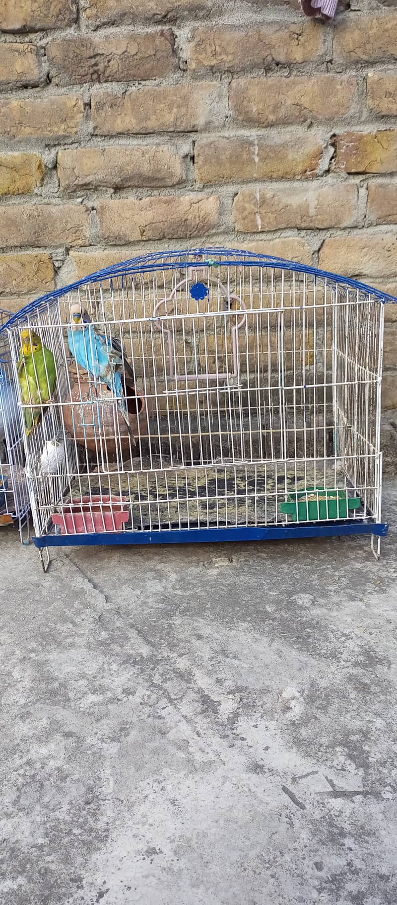 Birds Cages for sale 6