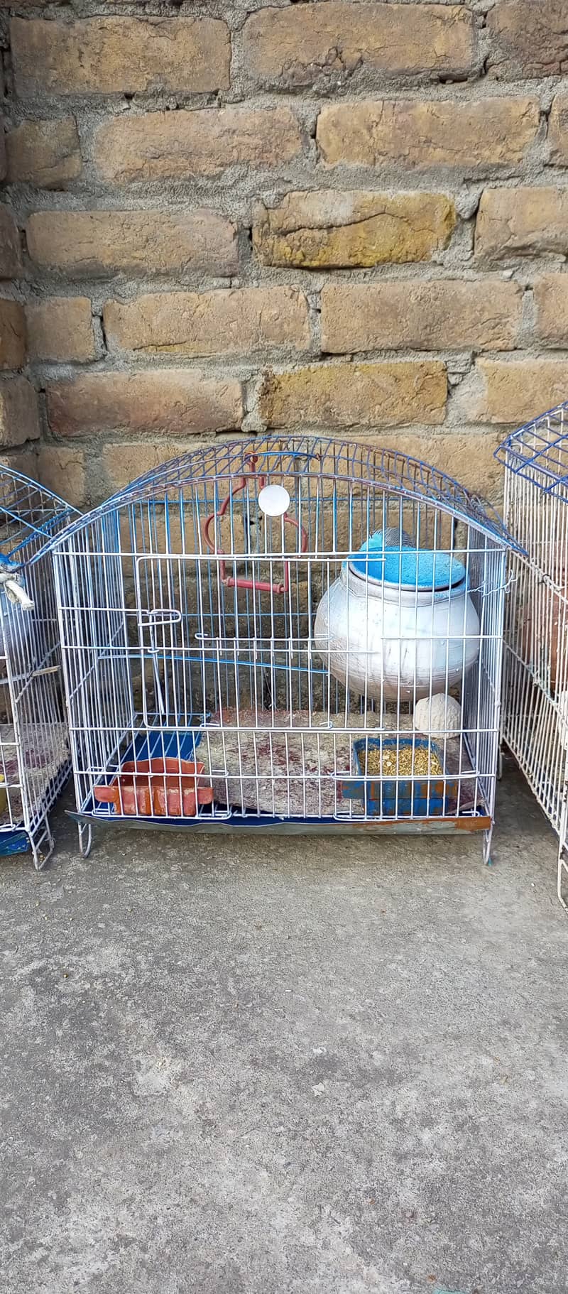 Birds Cages for sale 7