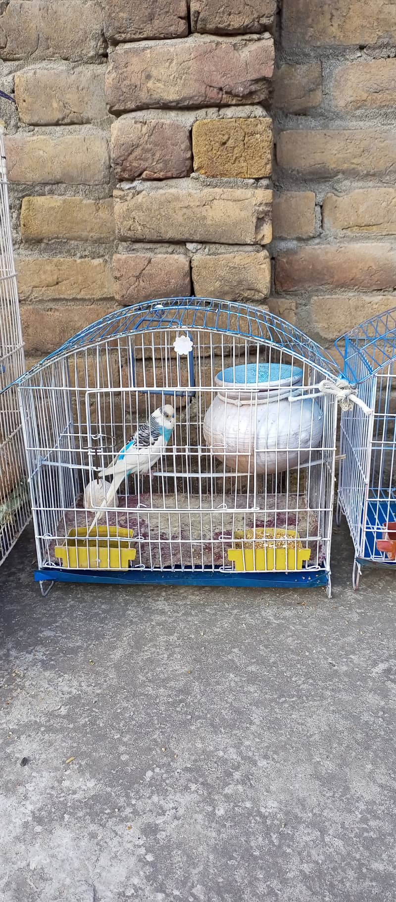 Birds Cages for sale 8