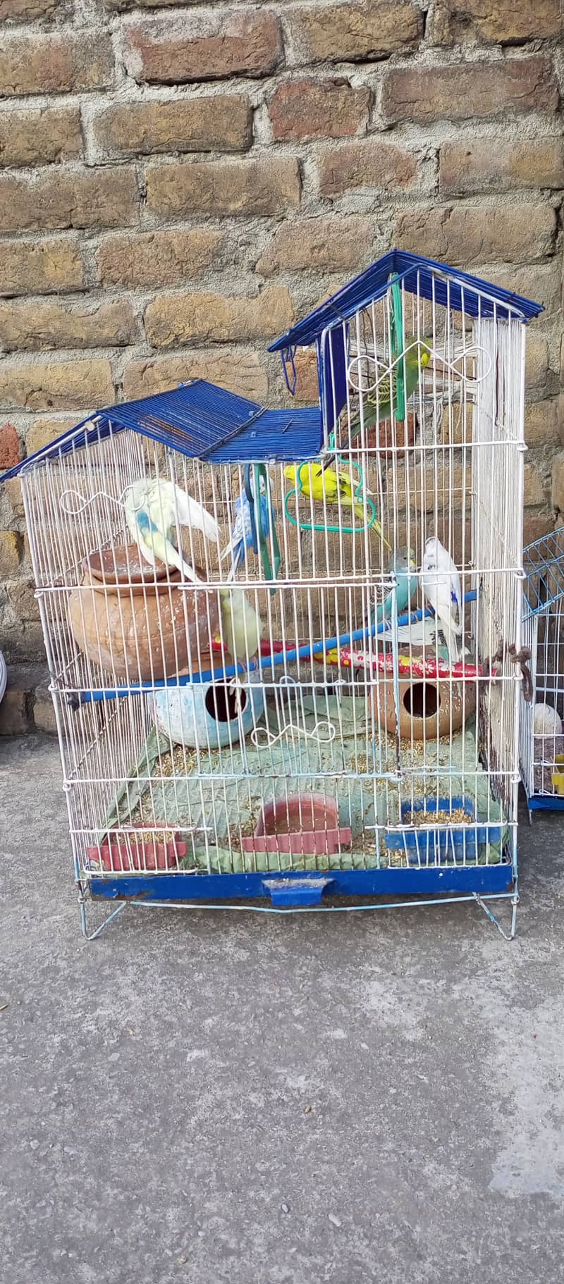 Birds Cages for sale 9