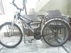 Gear bicycle