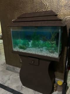 Fish Aquarium For sale (2.5ft)