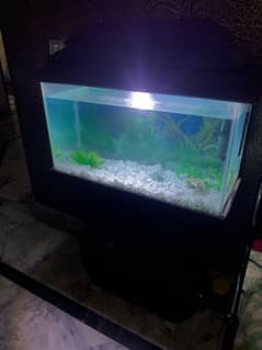 Fish Aquarium For sale (2.5ft)
